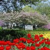 Springtime Preview Image
